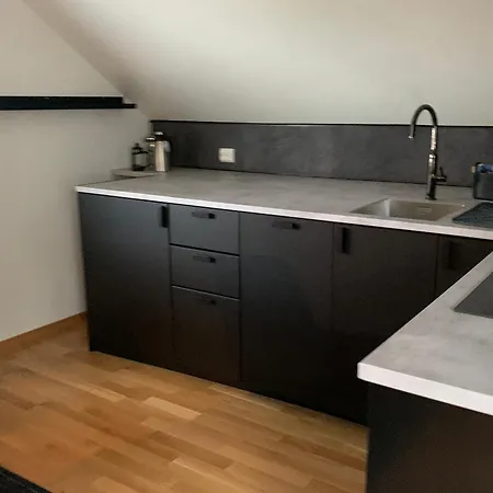 Koselig Loft Til Leie Appartement *